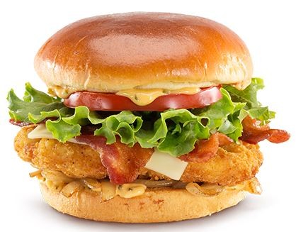 28. Crispy Chicken burgari